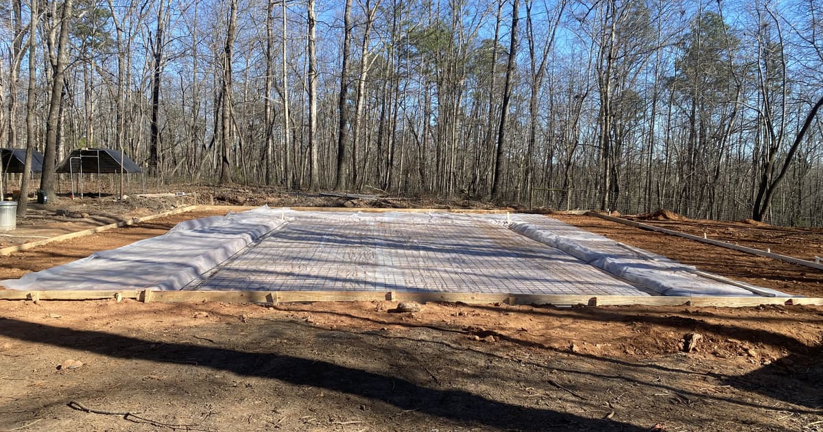Wire mesh over white vapor barrier inside wood forms, bare winter hardwoods all around